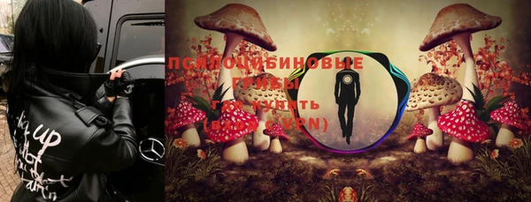 винт Губаха