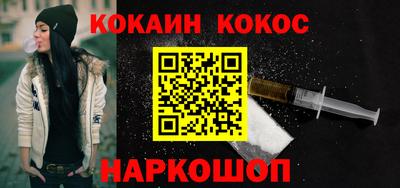 сатива Гай