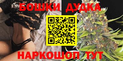 сатива Гай