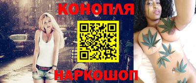 сатива Гай